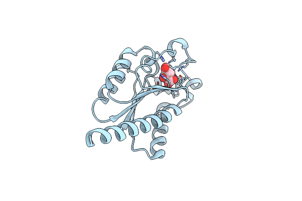 2C4V image
