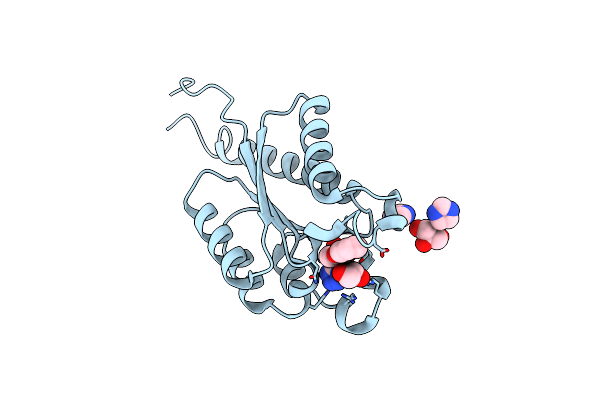 2C4W image