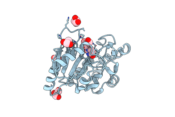 2C53 image