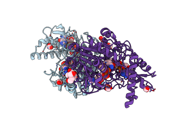 2C59 image