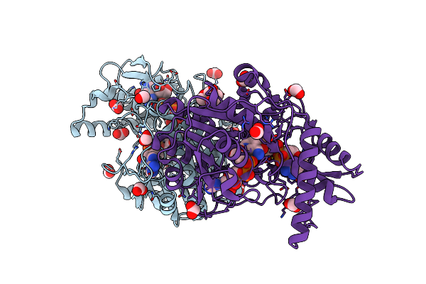 2C5A image