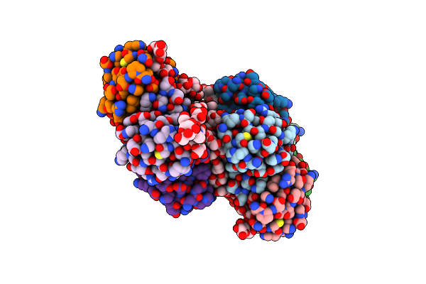 2C5C image