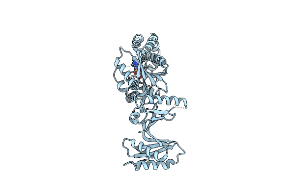 2C5S image