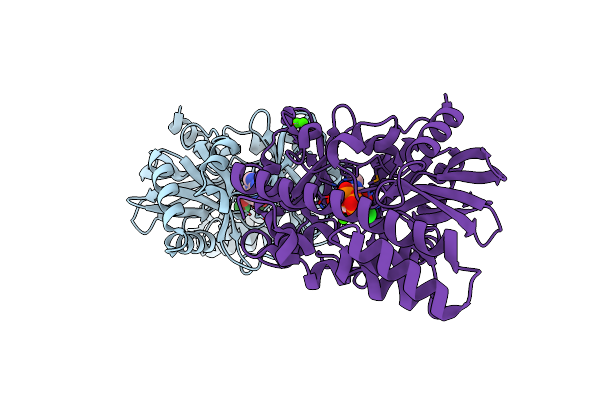2C5U image