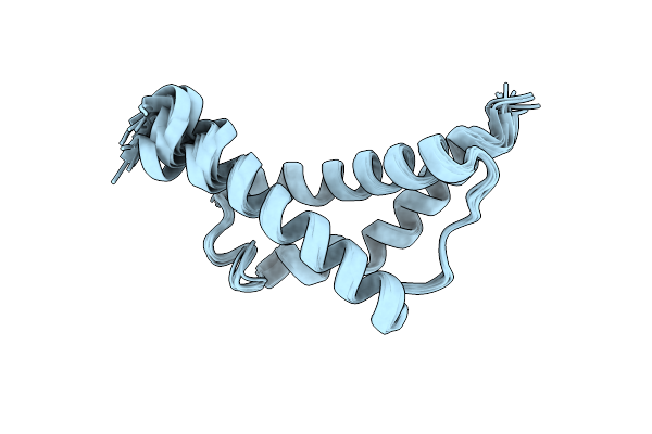 2C5Z image