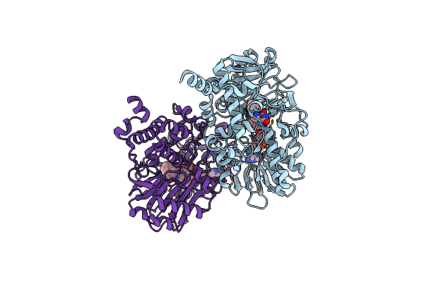 2C67 image