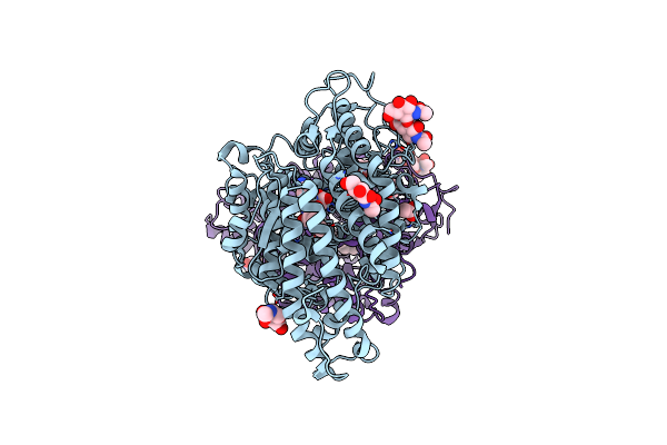 2C6N image
