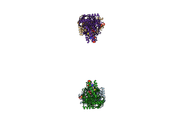 2C6X image