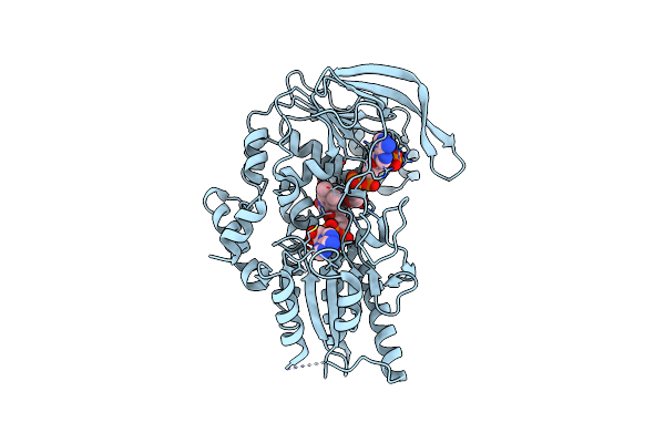 2C7G image