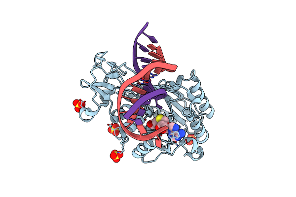 2C7O image