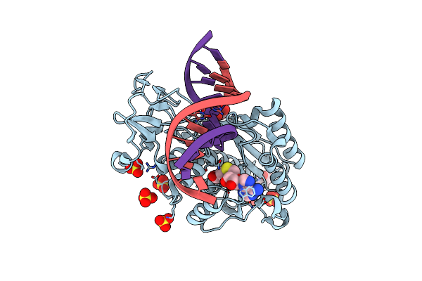 2C7P image