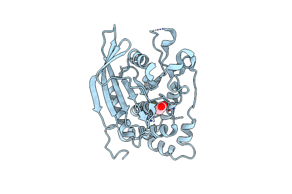 2C7S image