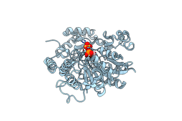 2C7T image
