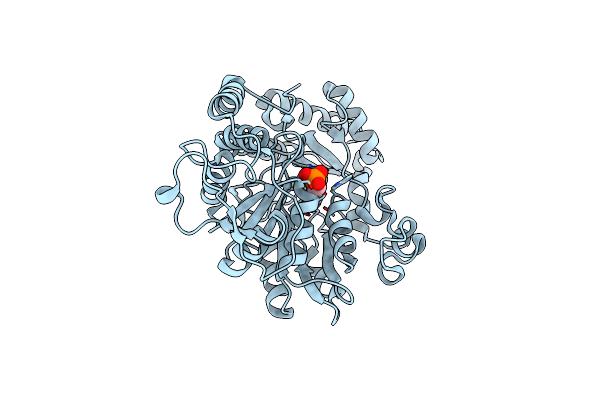 2C81 image