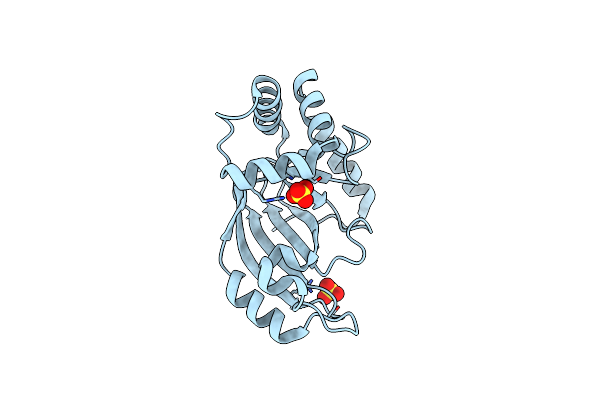 2C8B image