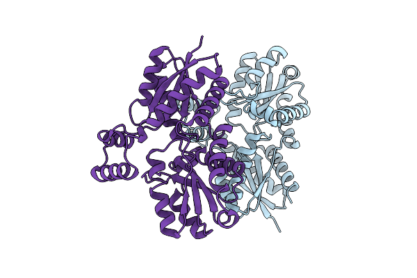 2C8J image