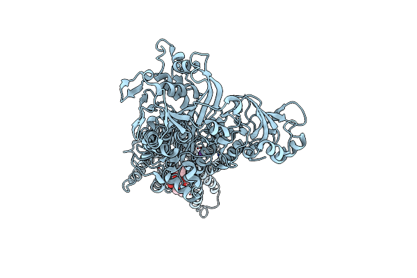 2C8L image
