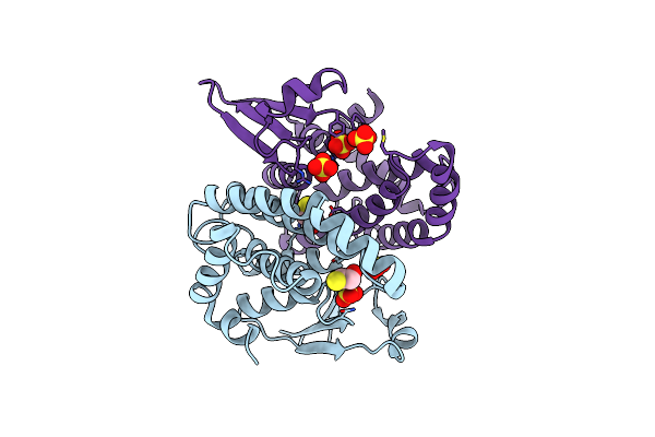 2C8U image