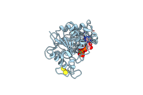 2C8V image