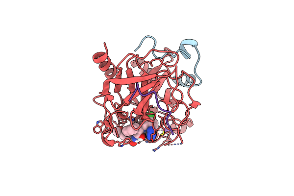 2C8W image