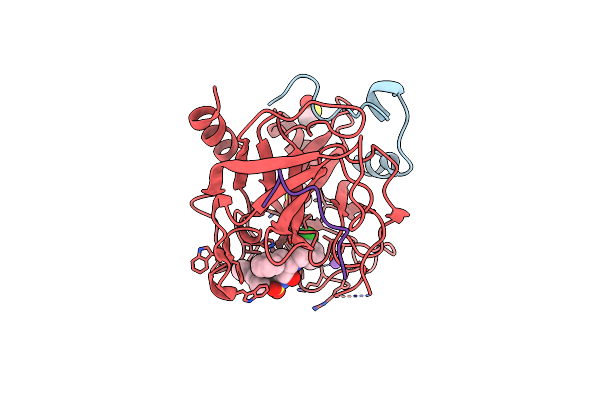 2C8X image