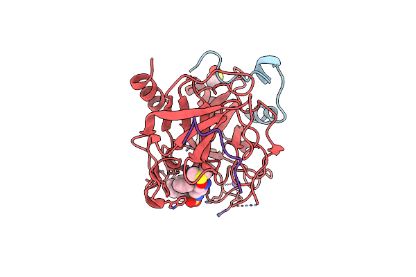 2C8Y image