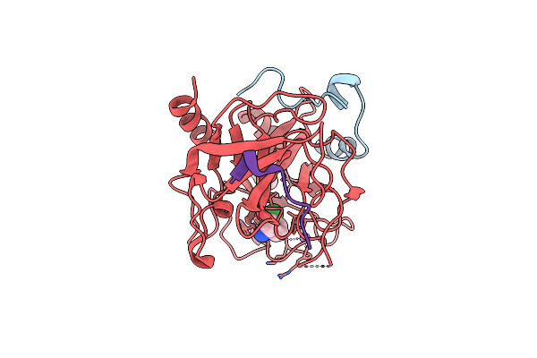 2C8Z image