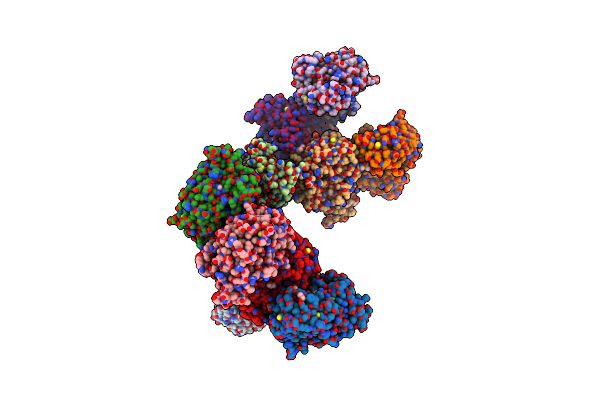 2C91 image