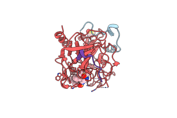 2C93 image