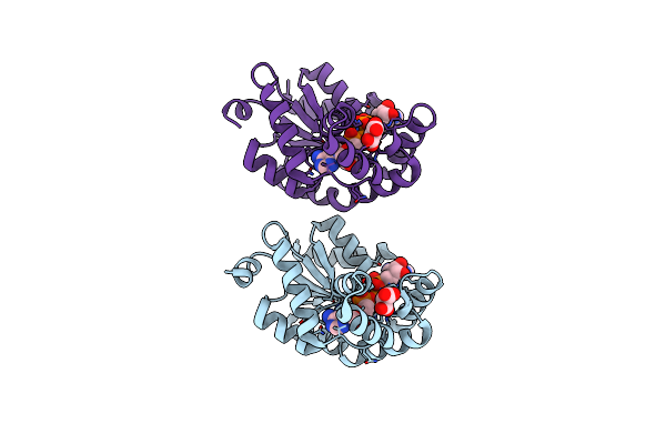 2C95 image