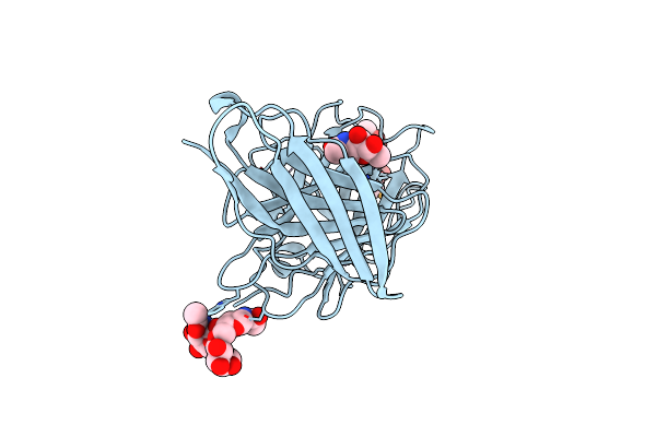 2C9A image