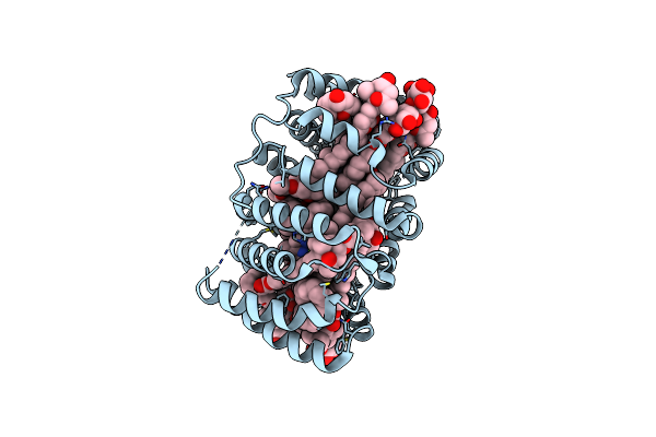 2C9E image