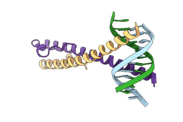 2C9N image