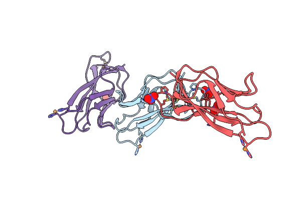 2C9P image