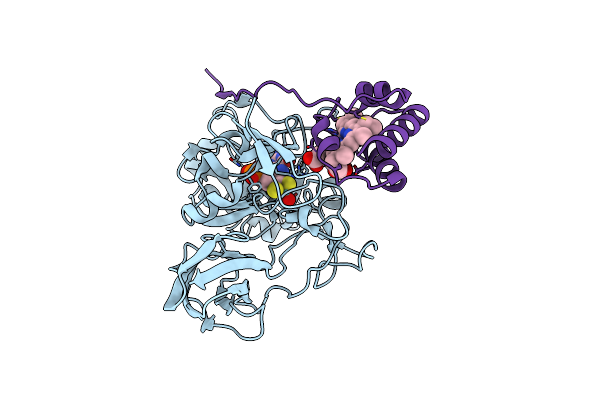 2C9X image