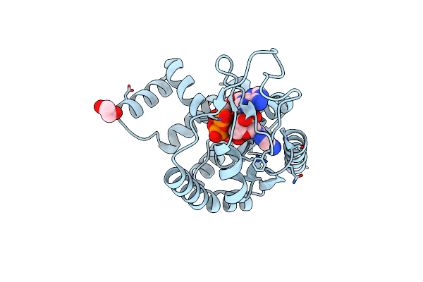 2C9Y image