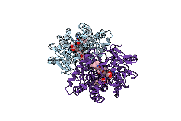 2CA0 image