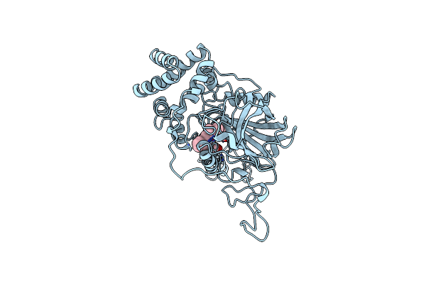 2CAG image