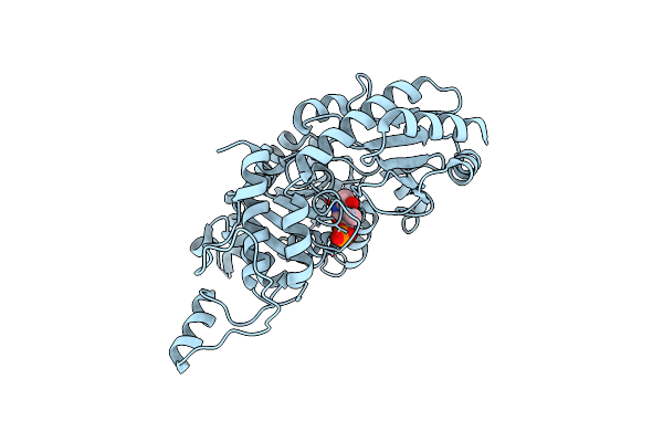 2CB1 image