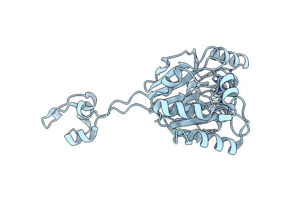 2CBN image