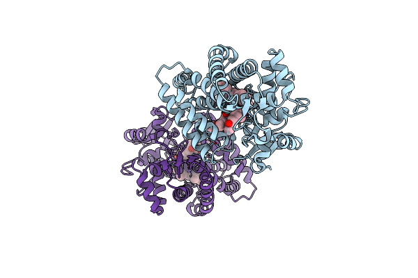 2CD8 image