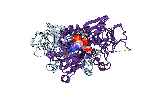 2CDA image