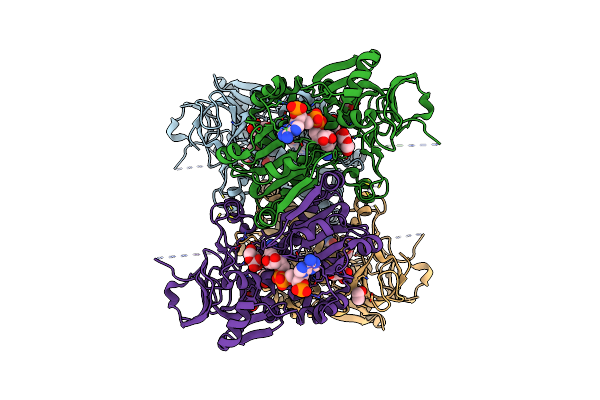 2CDC image