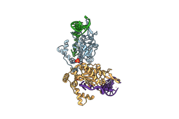 2CDM image