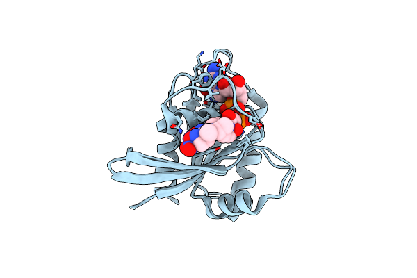 2CE2 image