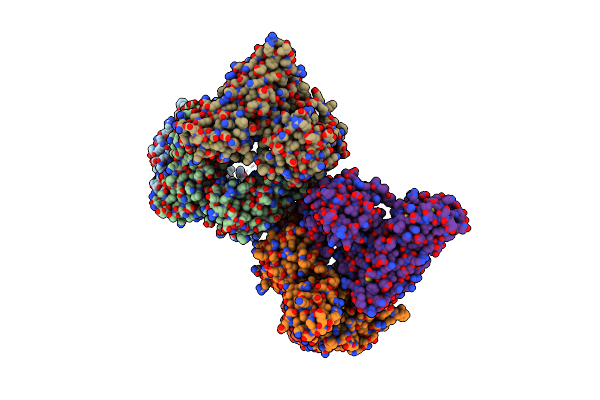 2CEA image