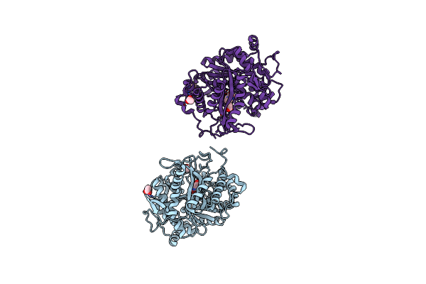 2CEQ image