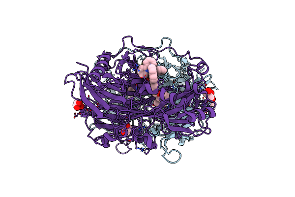 2CFD image