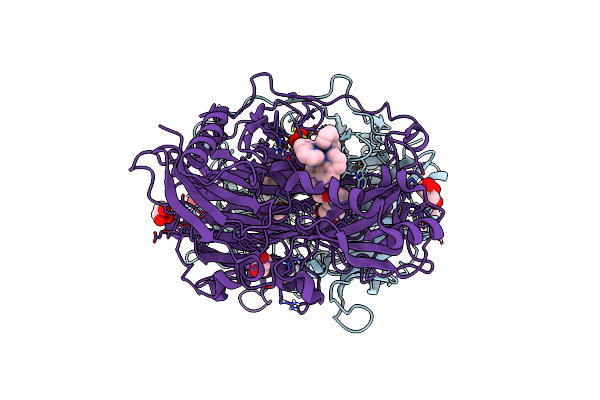 2CFG image