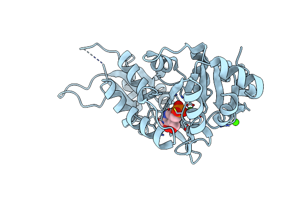 2CFT image